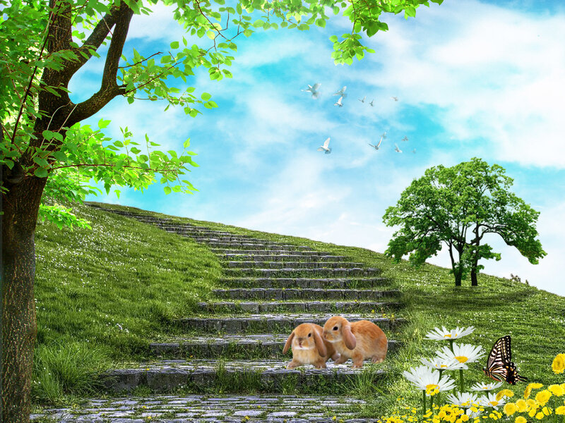 Peaceful garden with bunnies