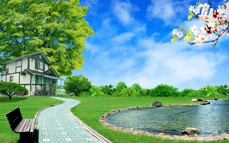 Peaceful garden with pond and house