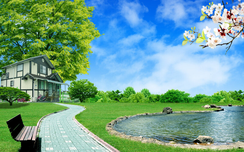 Peaceful garden with pond and house