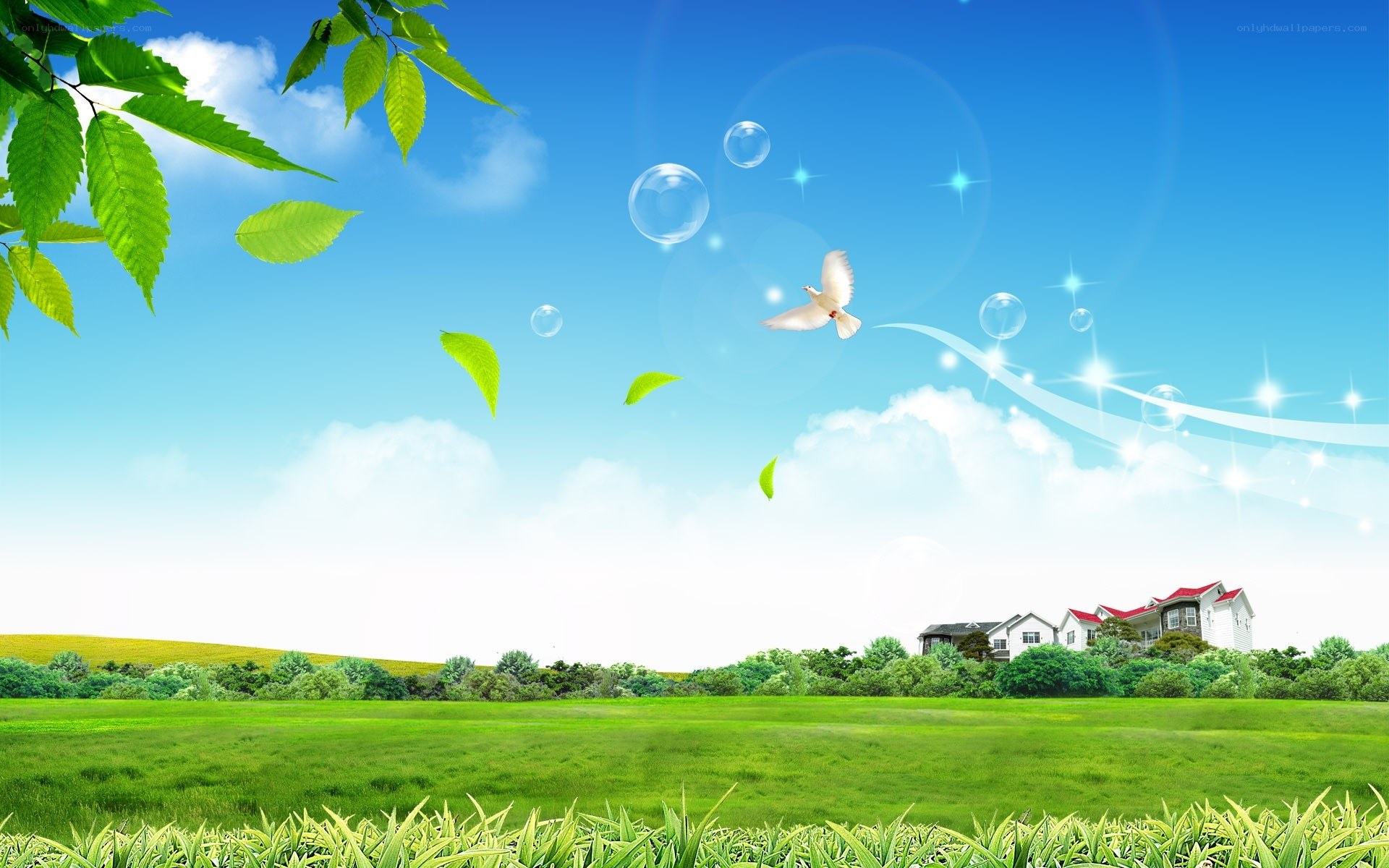 Peaceful green landscape