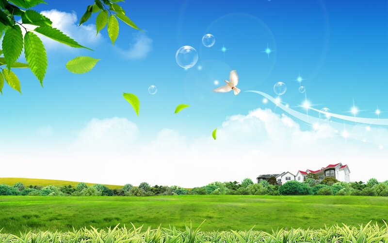 Peaceful green landscape