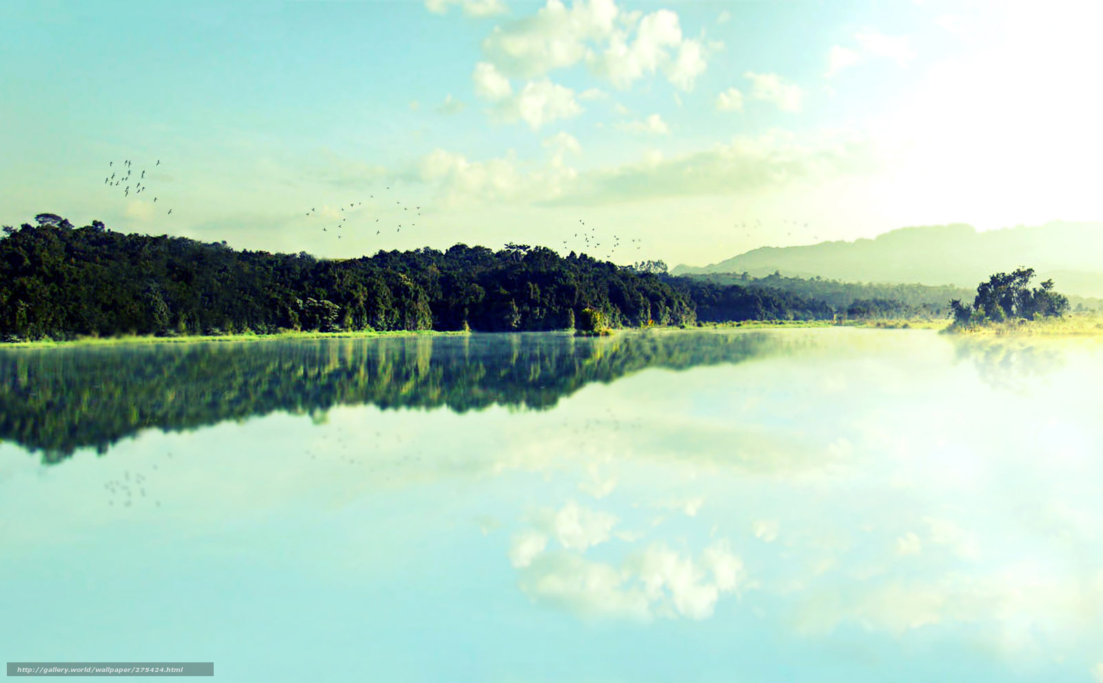 Peaceful lake at sunrise