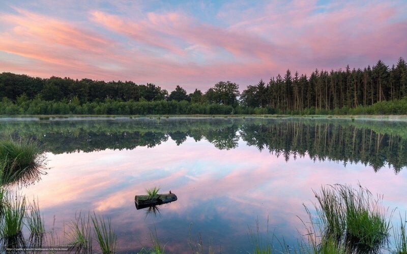 Peaceful lake at sunrise