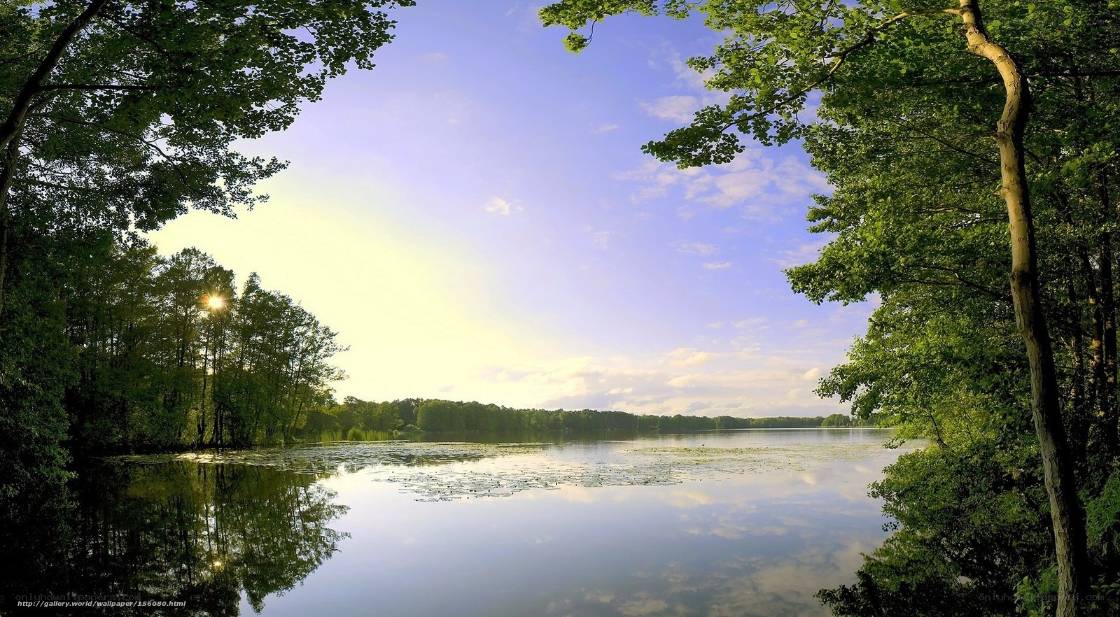 Peaceful lake at sunrise