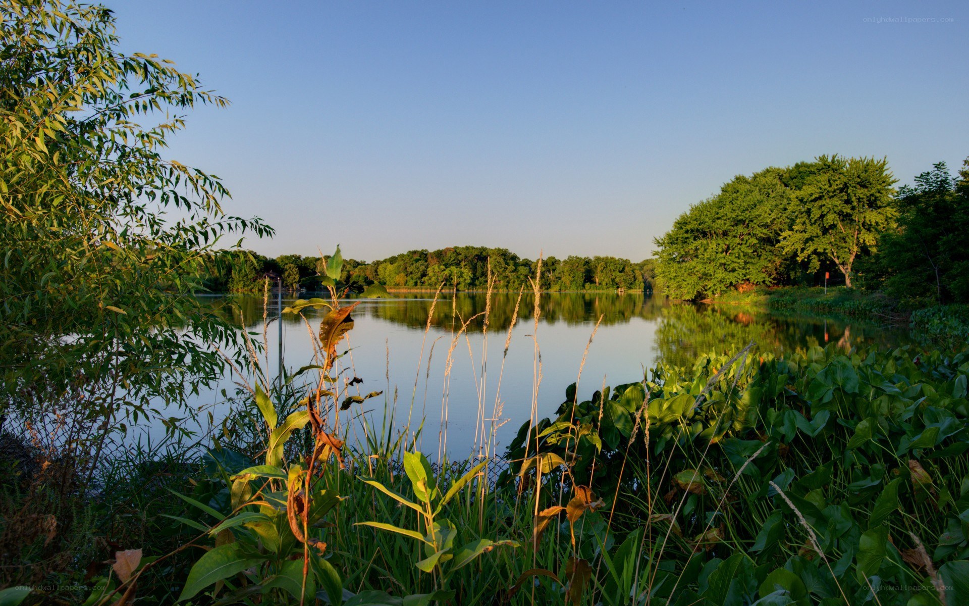 Peaceful lake at sunset
