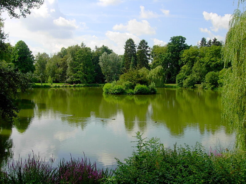 Peaceful lake in a lush park