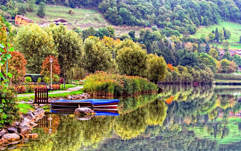 Peaceful lake with autumn trees