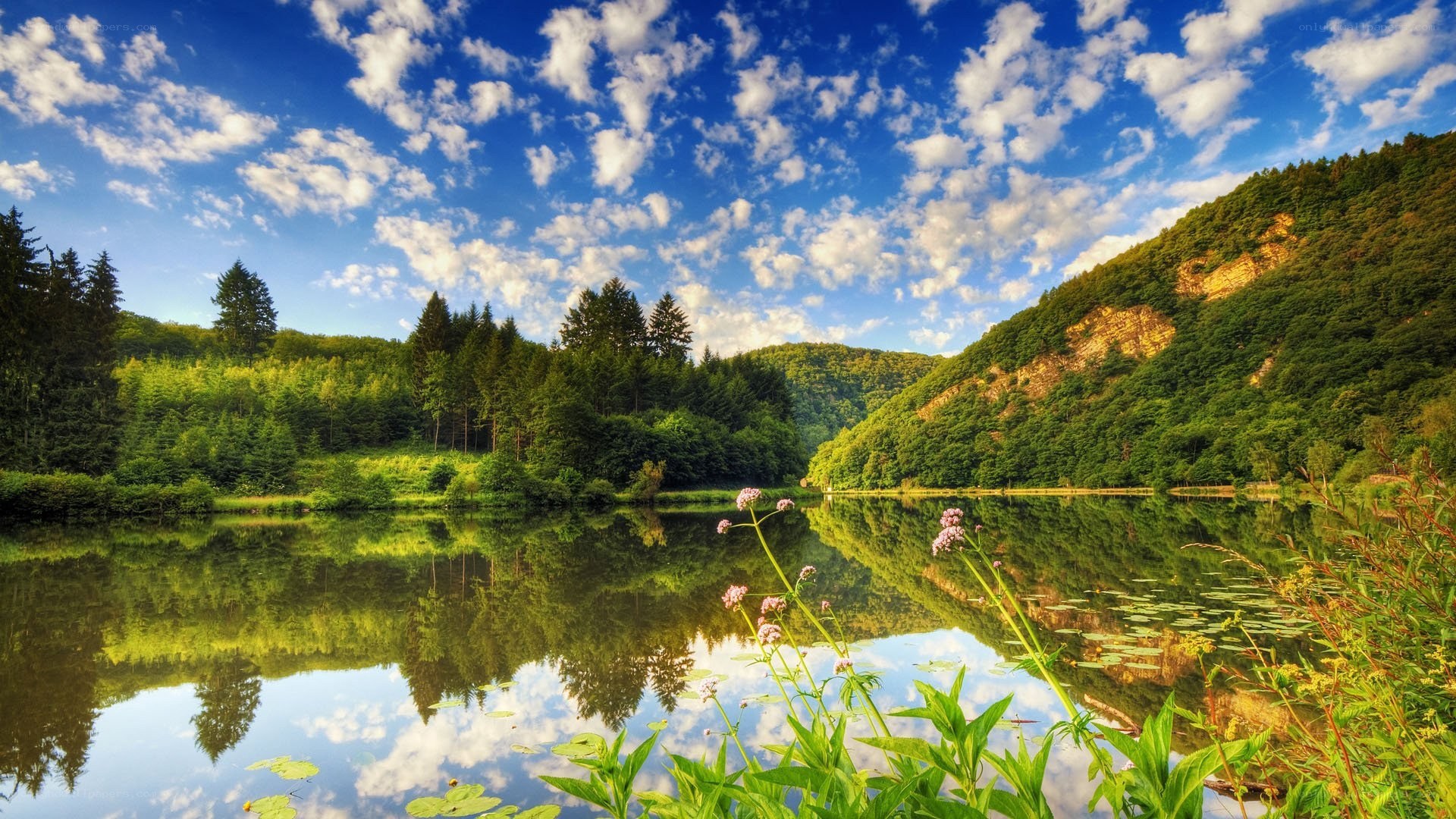 Peaceful lake with forest reflection