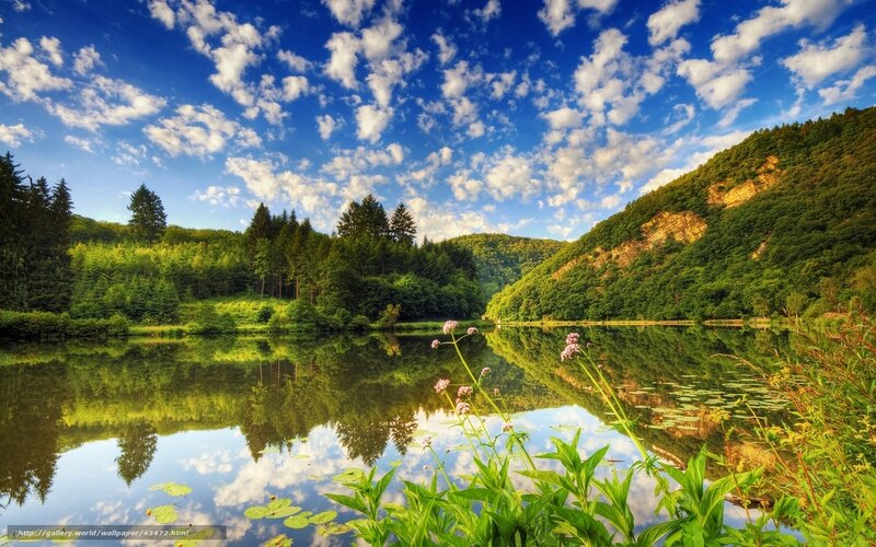 Peaceful lake with forest reflection