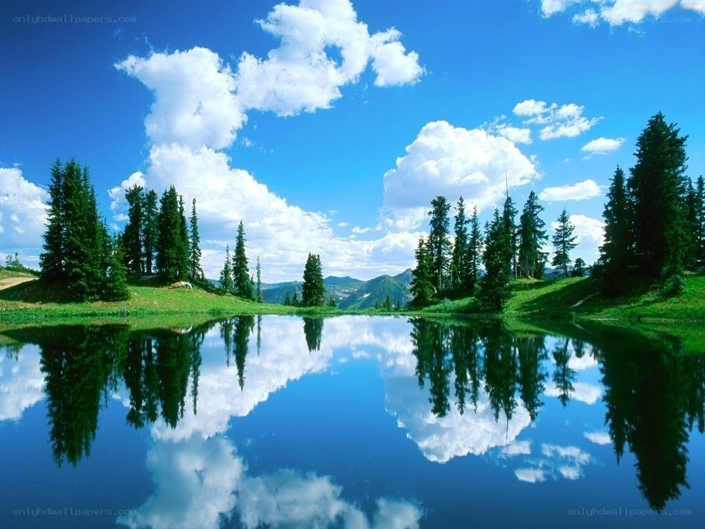 Peaceful lake with tree reflection