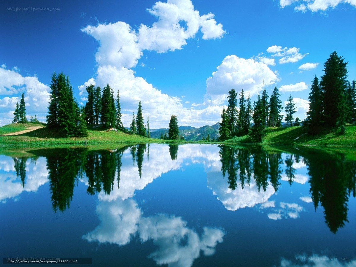 Peaceful lake with tree reflection