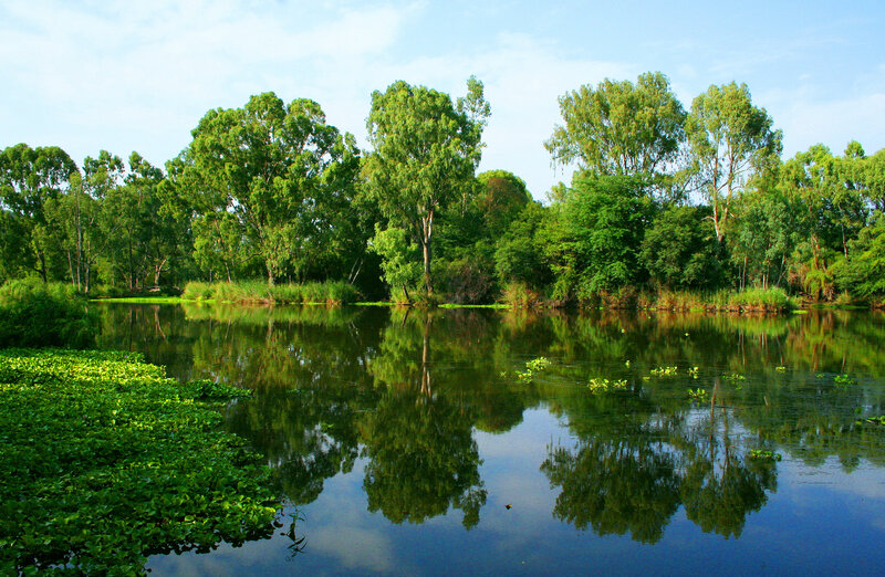 Peaceful lake with tree reflections