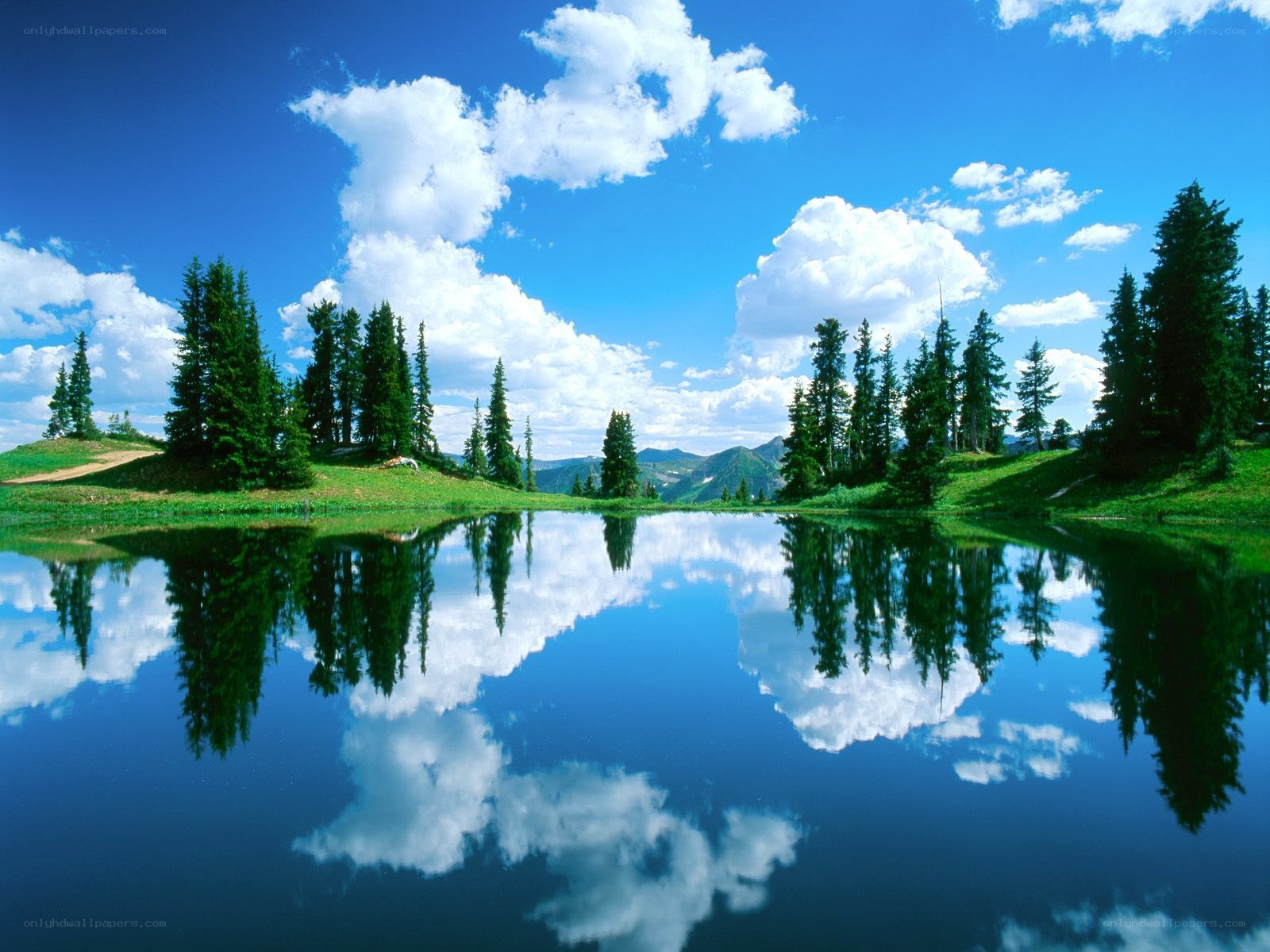 Peaceful lake with tree reflections