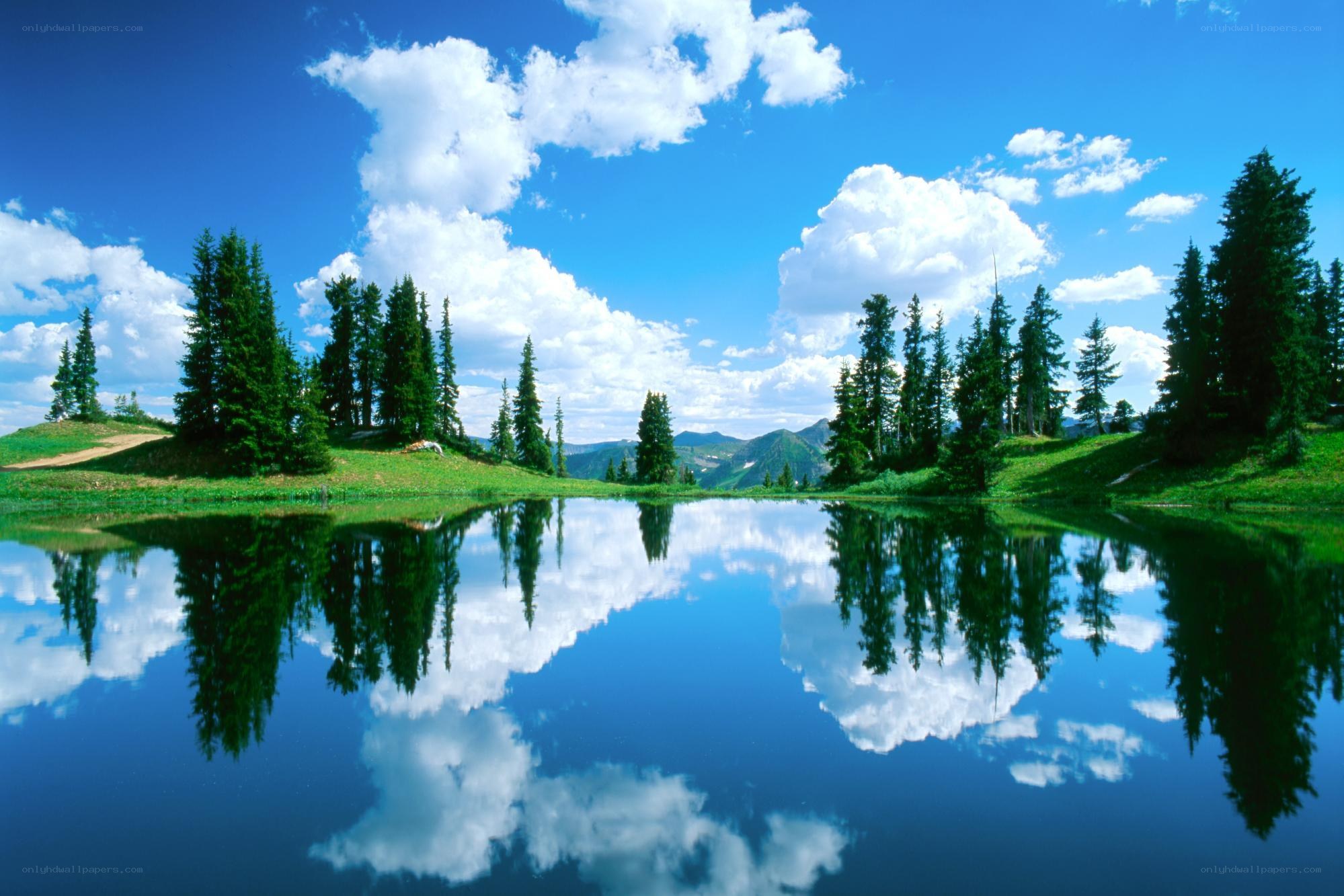 Peaceful lake with tree reflections