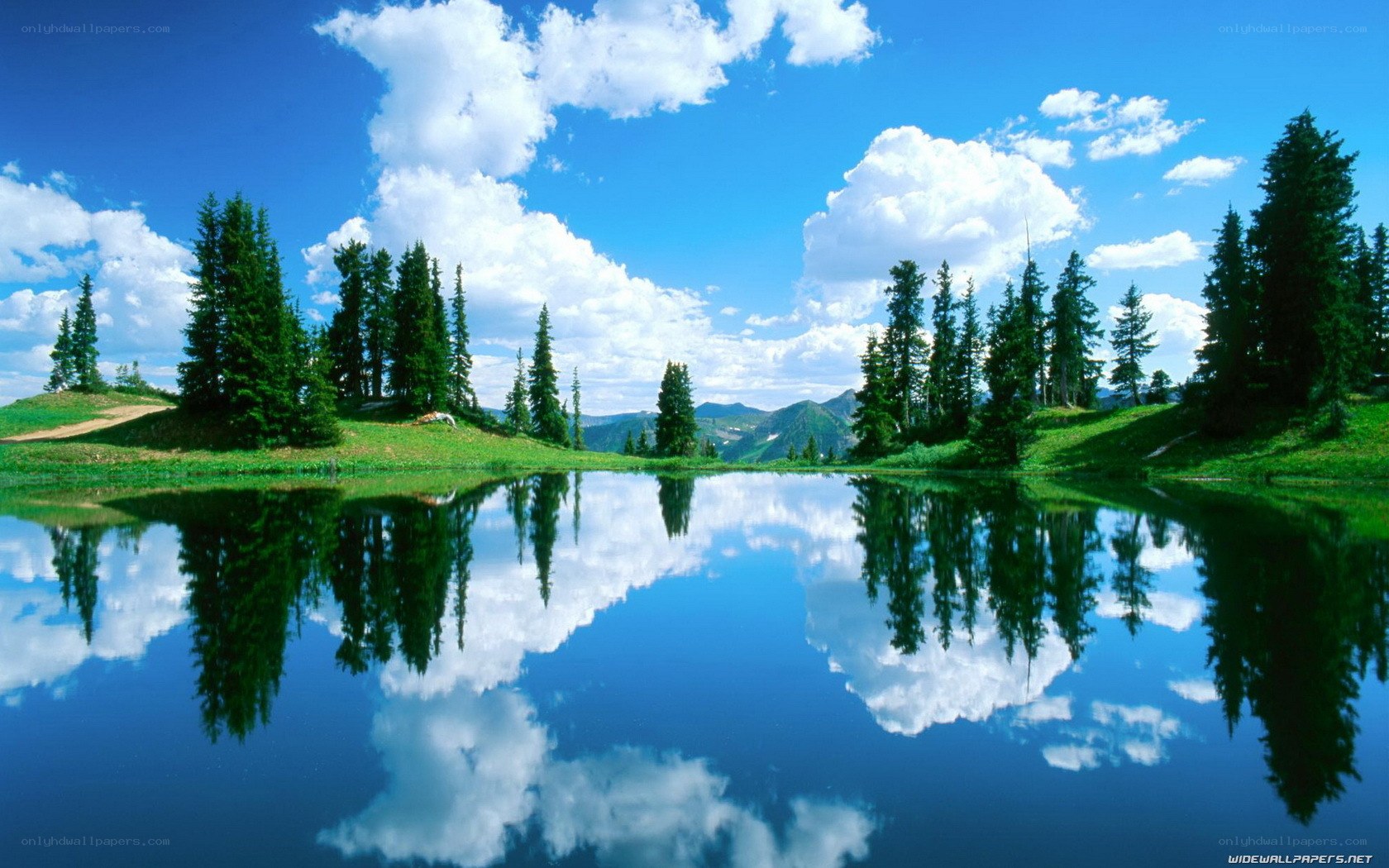 Peaceful lake with tree reflections