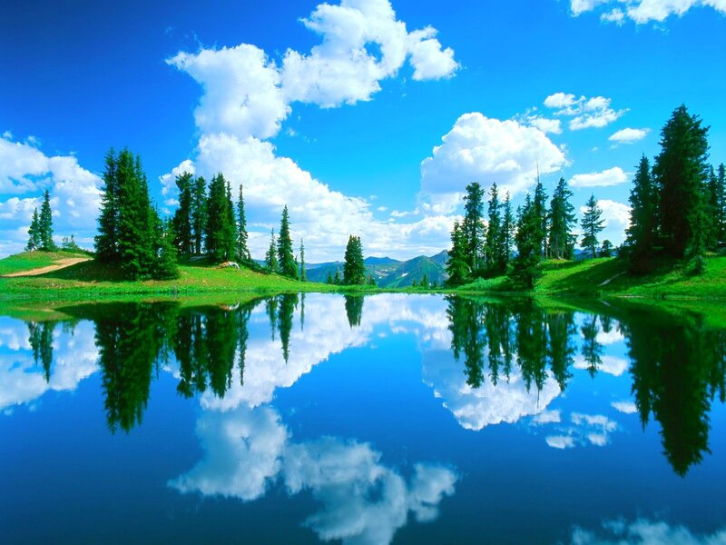 Peaceful lake with tree reflections