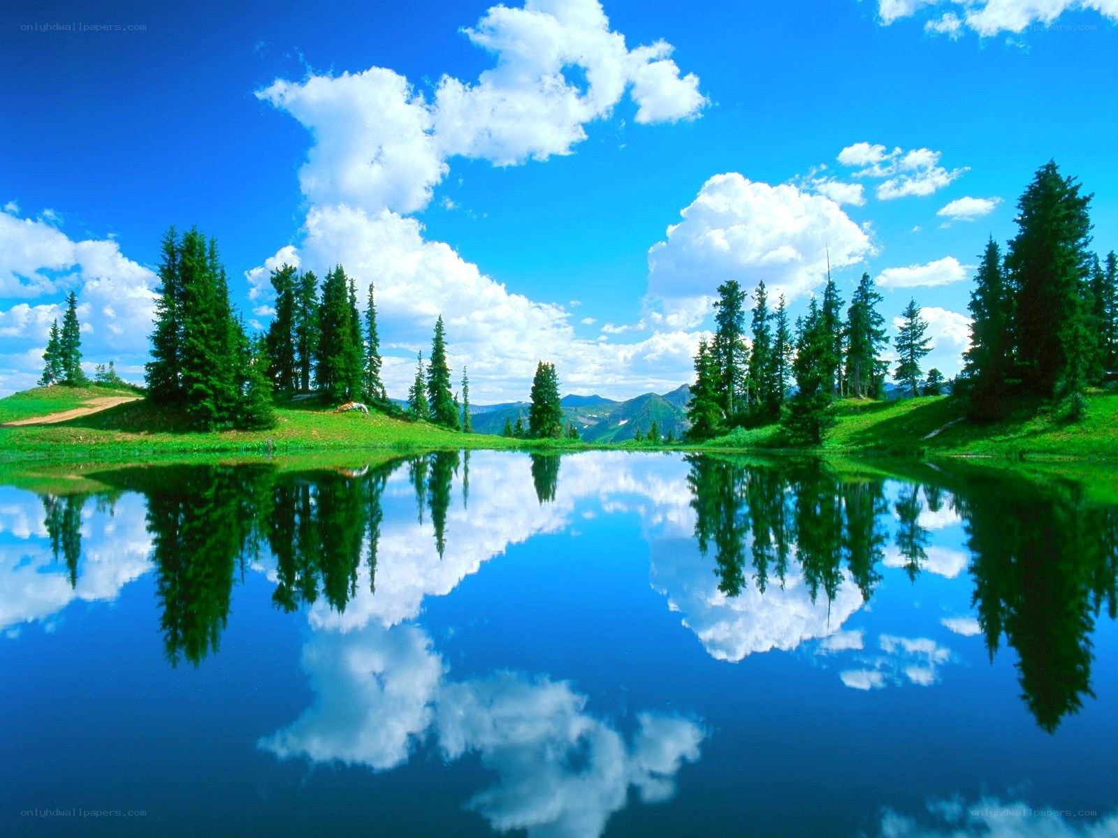 Peaceful lake with tree reflections