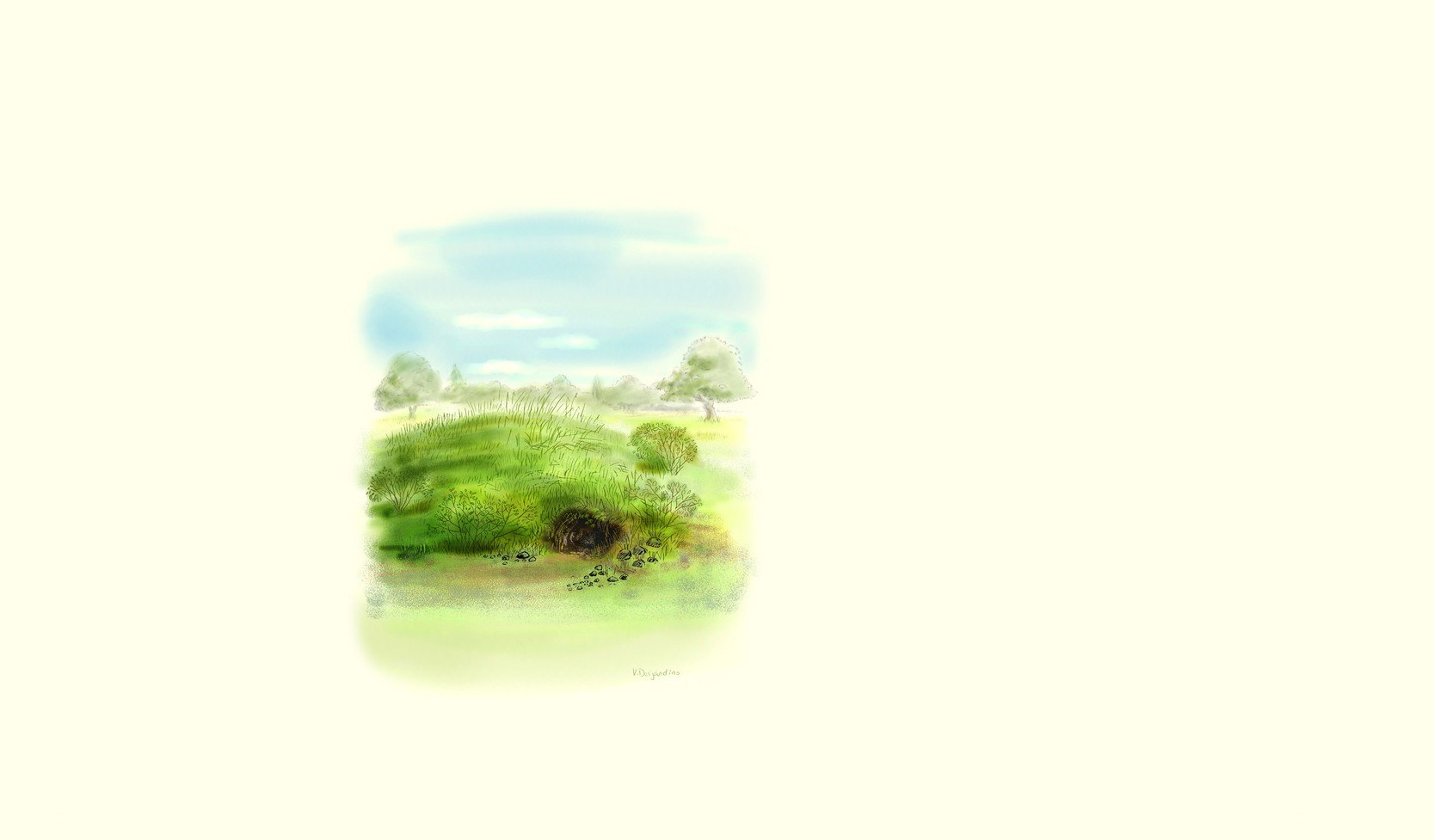peaceful landscape illustration