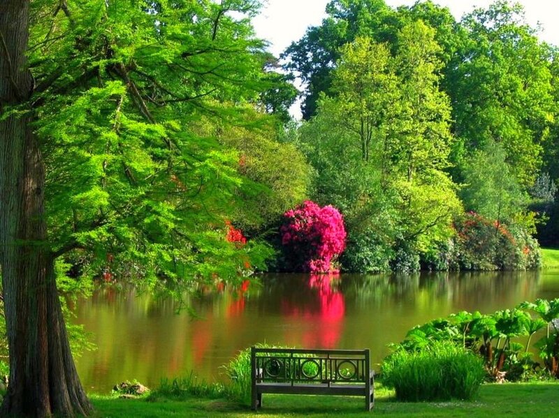 Peaceful park bench by a pond