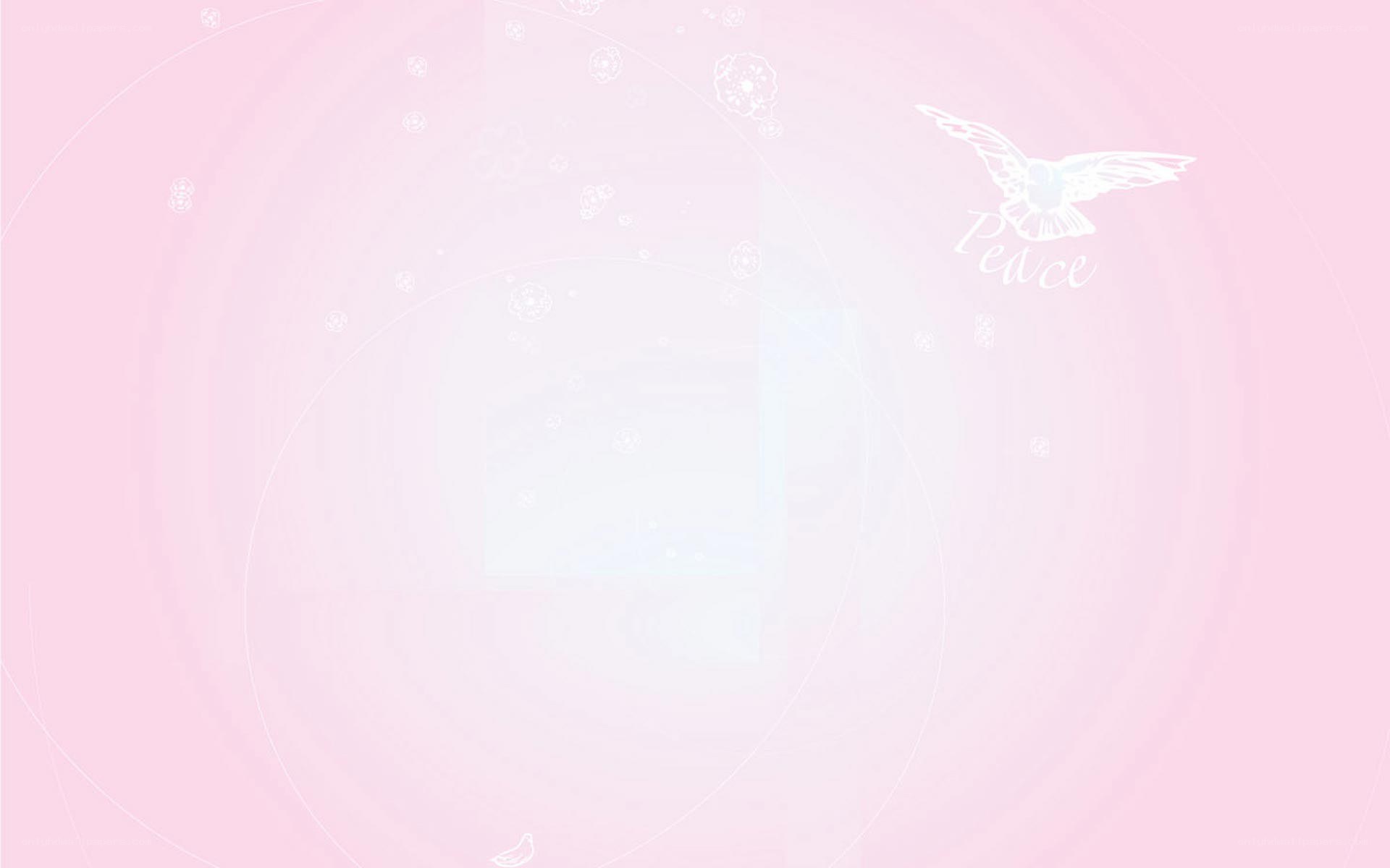 peaceful pink background with dove