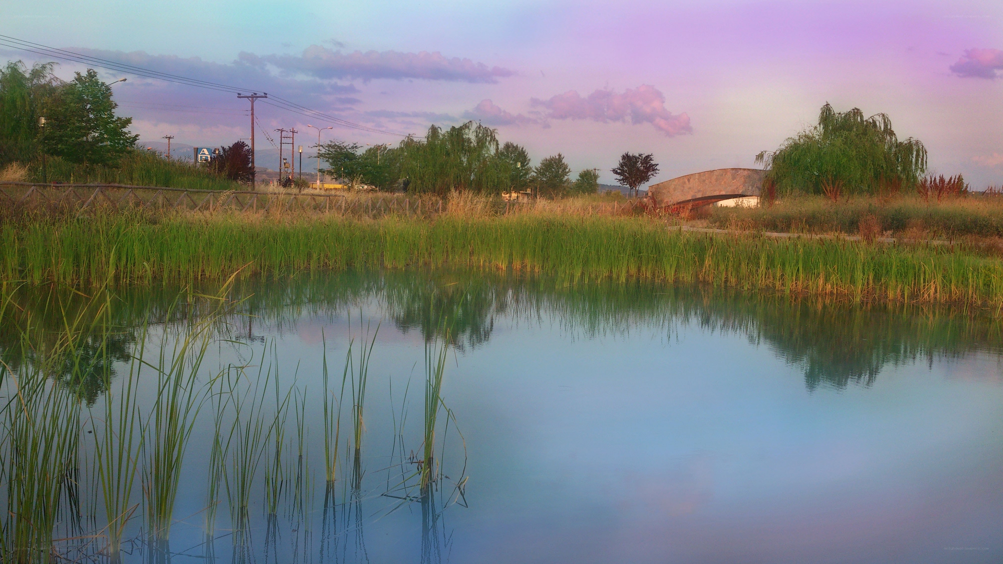 Peaceful pond at dusk