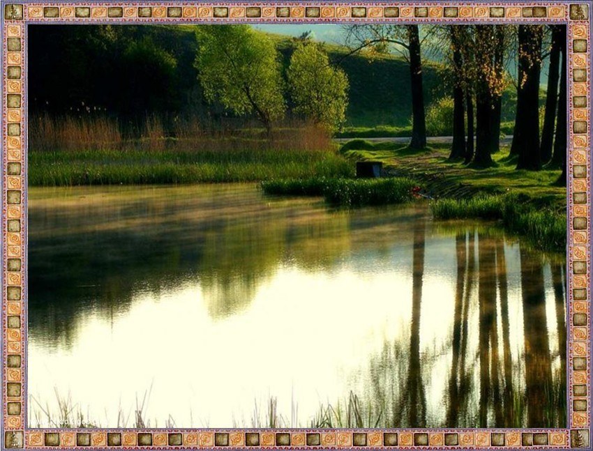 Peaceful pond at sunrise