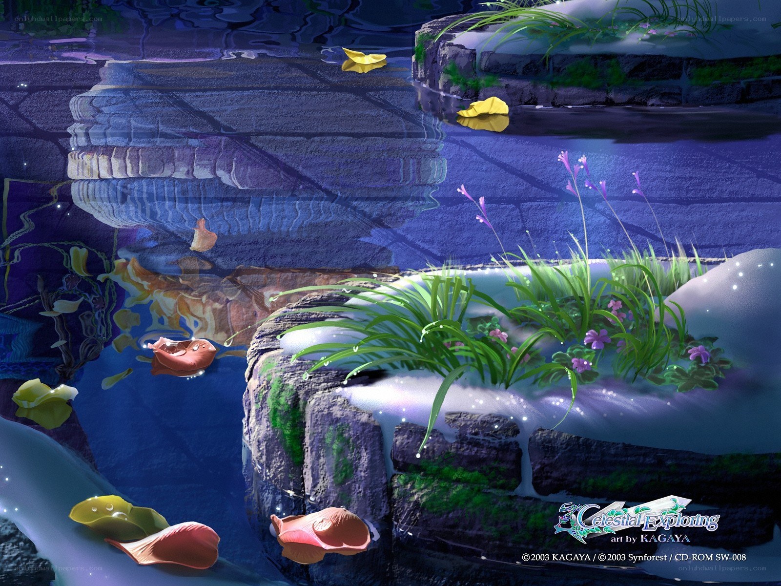 Peaceful pond with floating petals