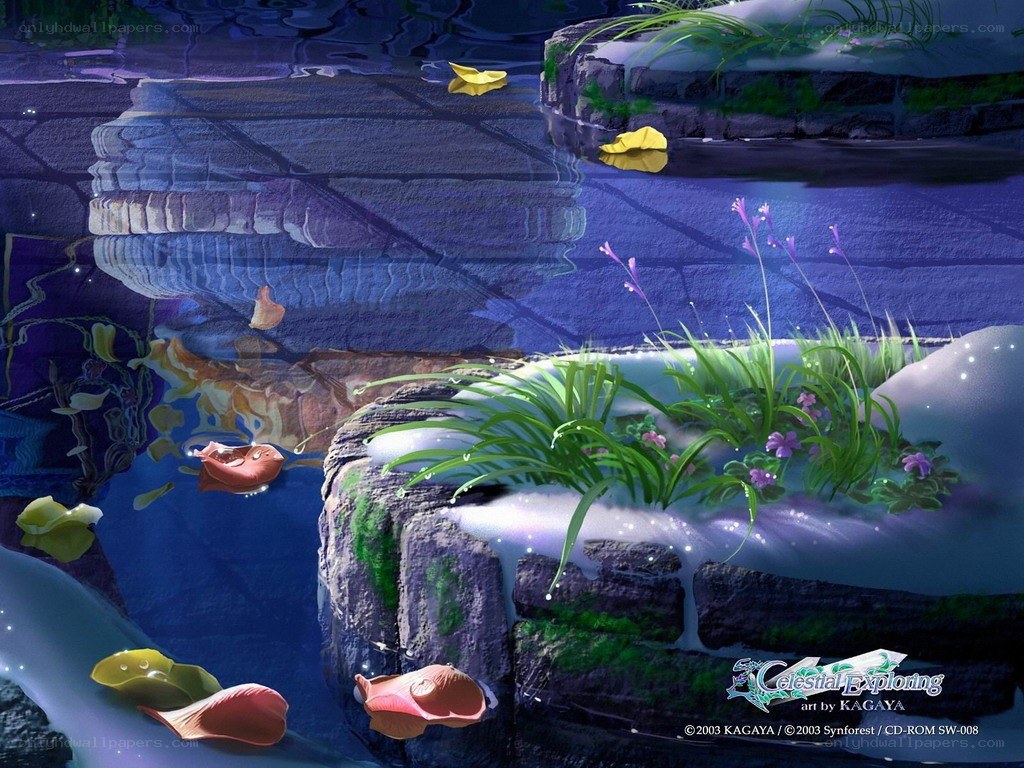 Peaceful pond with floating petals