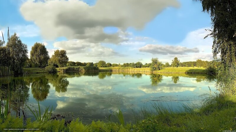 Peaceful pond with sky reflection