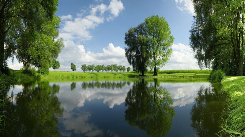 Peaceful pond with tree reflections