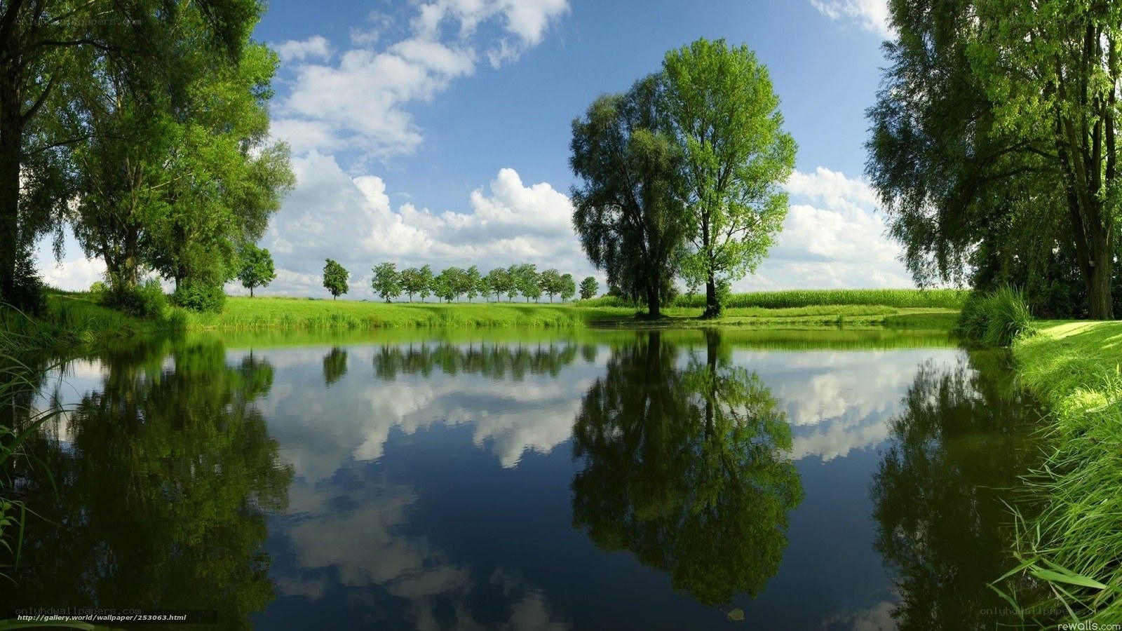 Peaceful pond with tree reflections