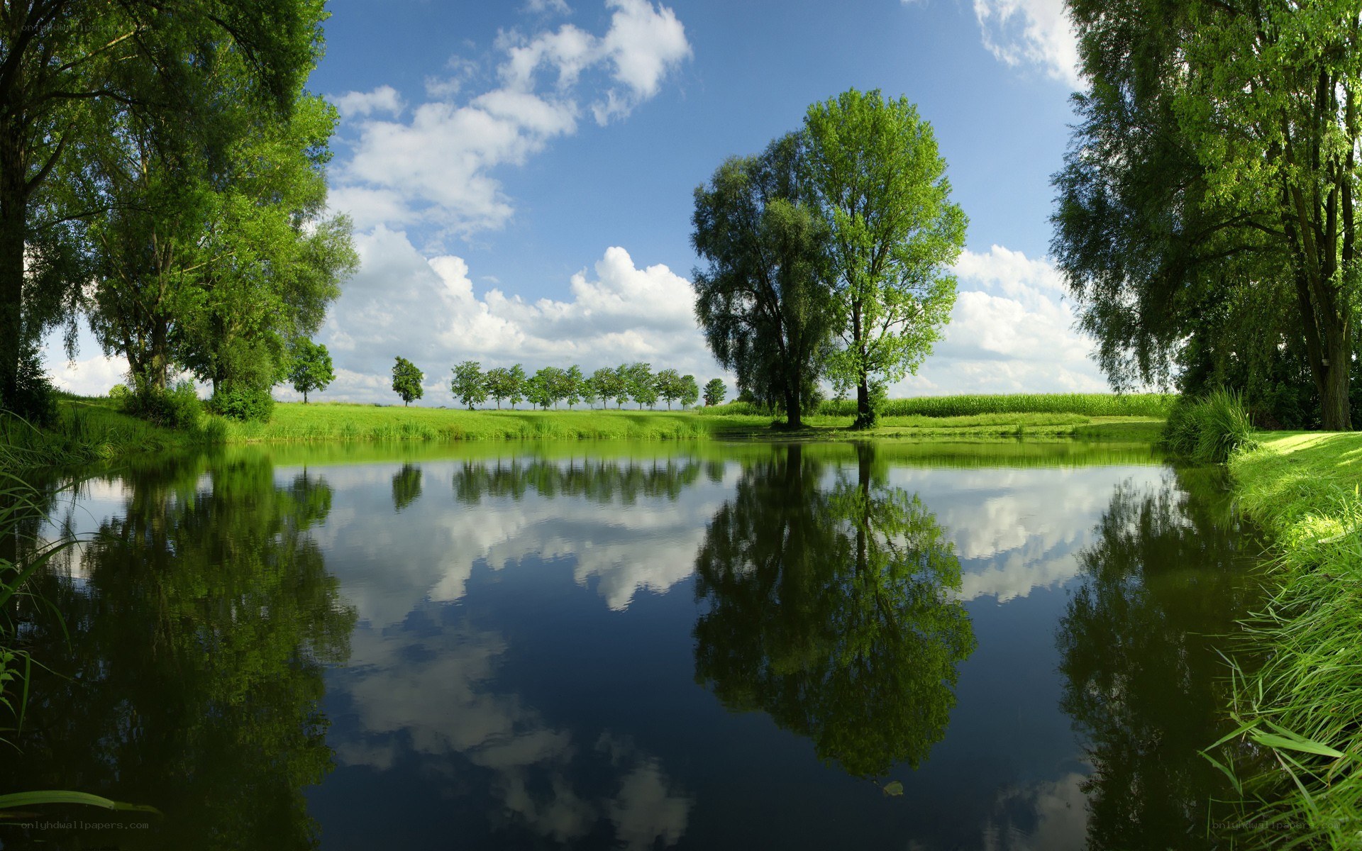 Peaceful pond with tree reflections