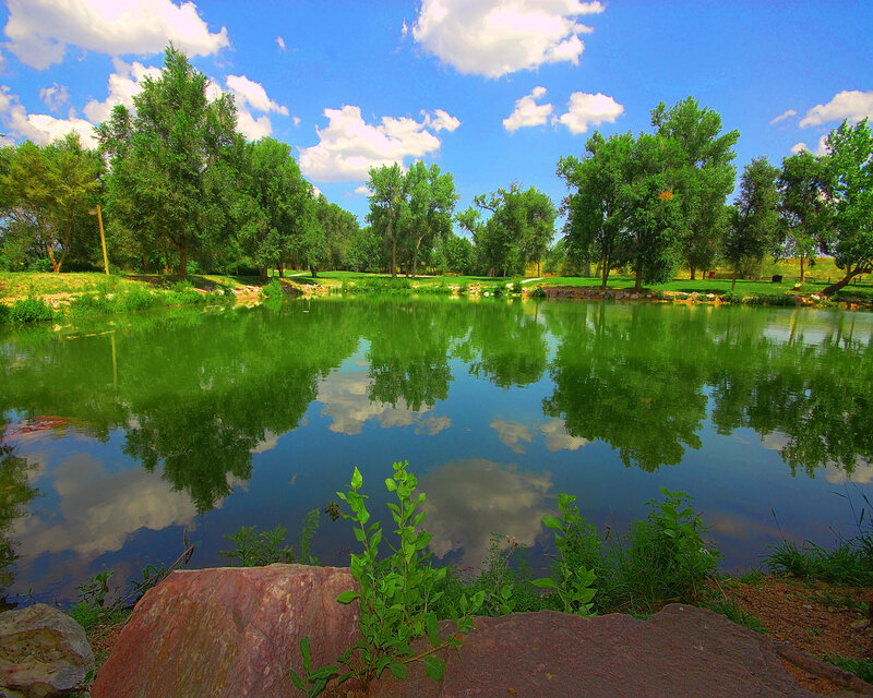 Peaceful pond with tree reflections