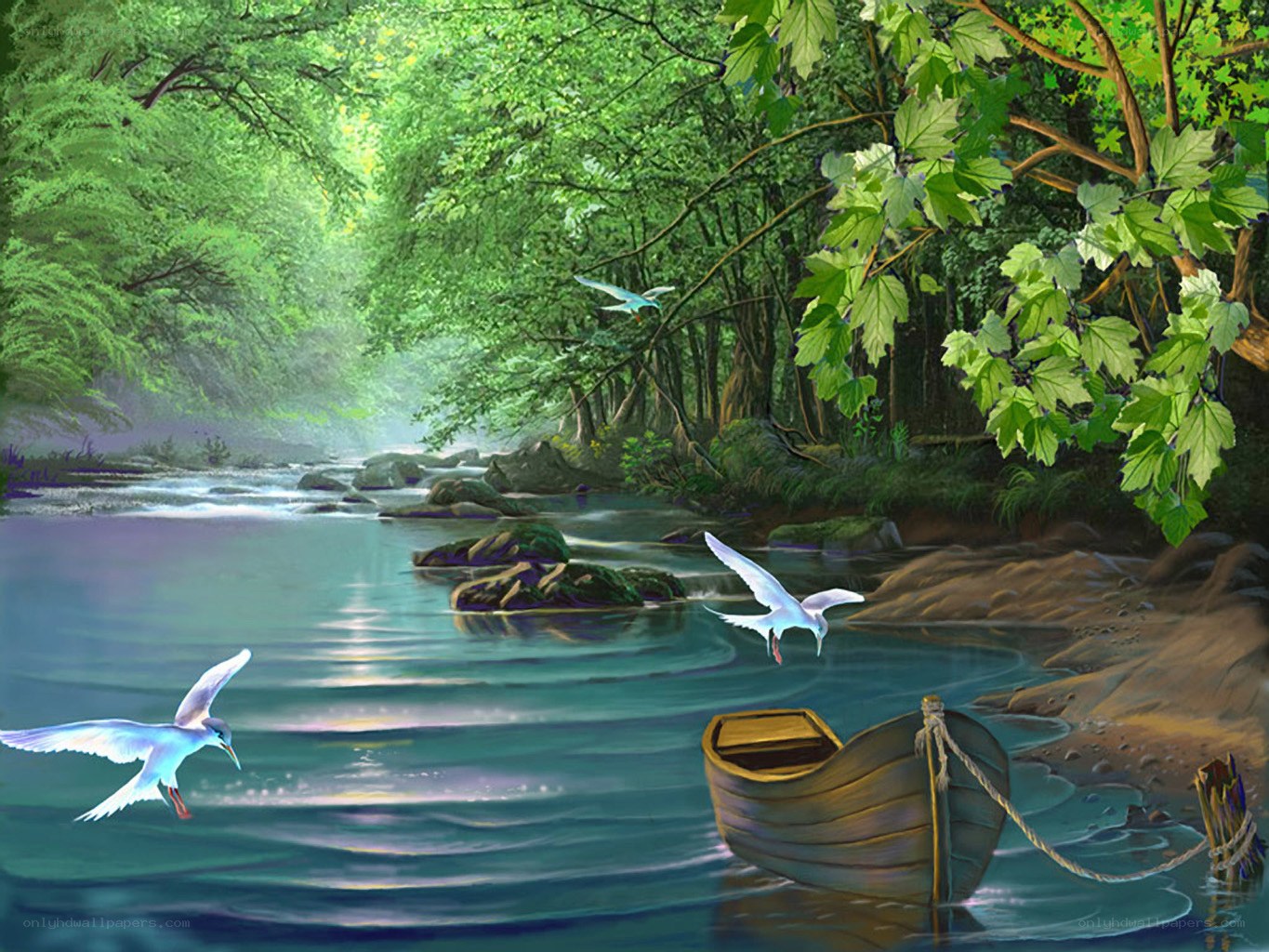 Peaceful river in a lush forest