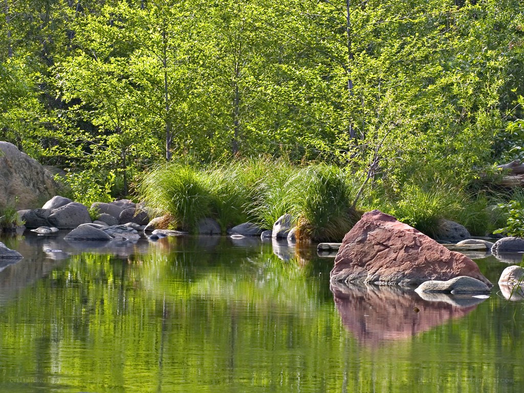 Peaceful river with rocks and trees