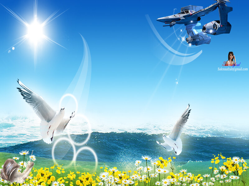 Peaceful sky with birds and plane