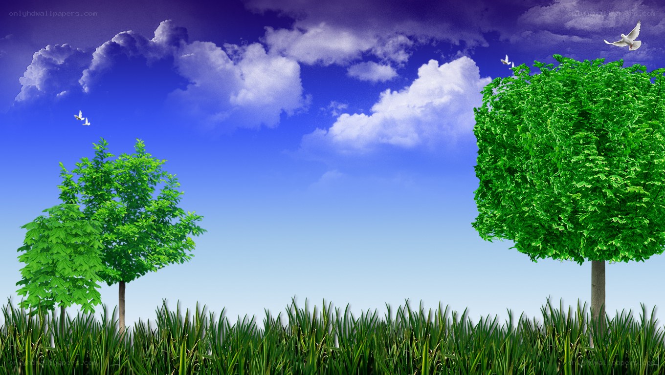 Peaceful sky with trees and birds