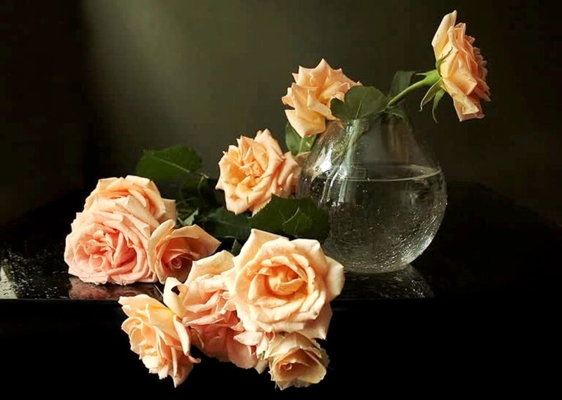 Peach Roses in Vase — Dramatic