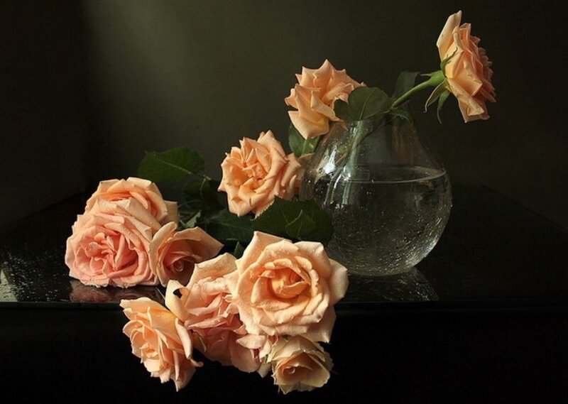 Peach Roses in Vase