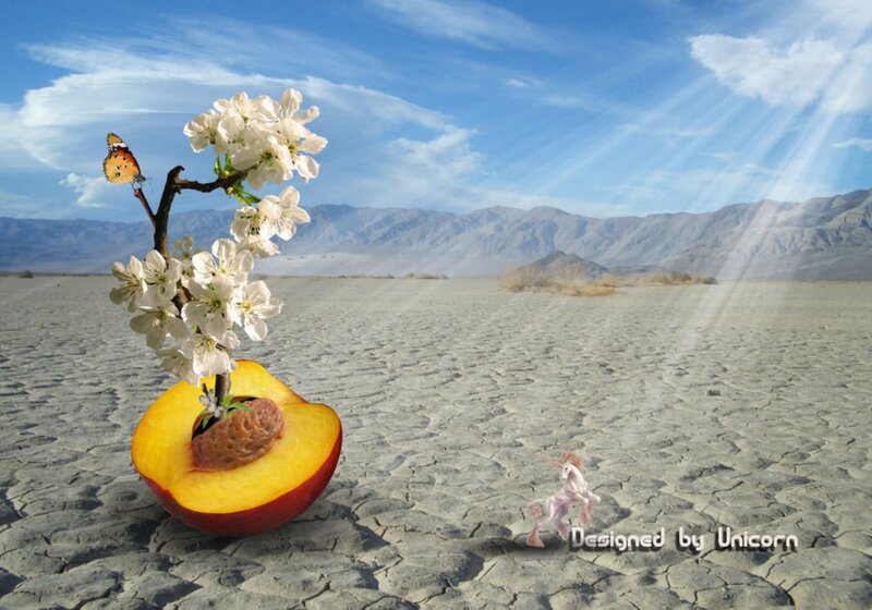 Peach with Blossoms