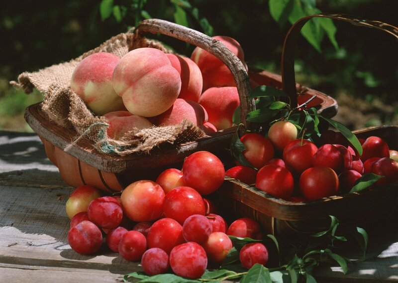 Peaches and Plums in Baskets — Red, Natural