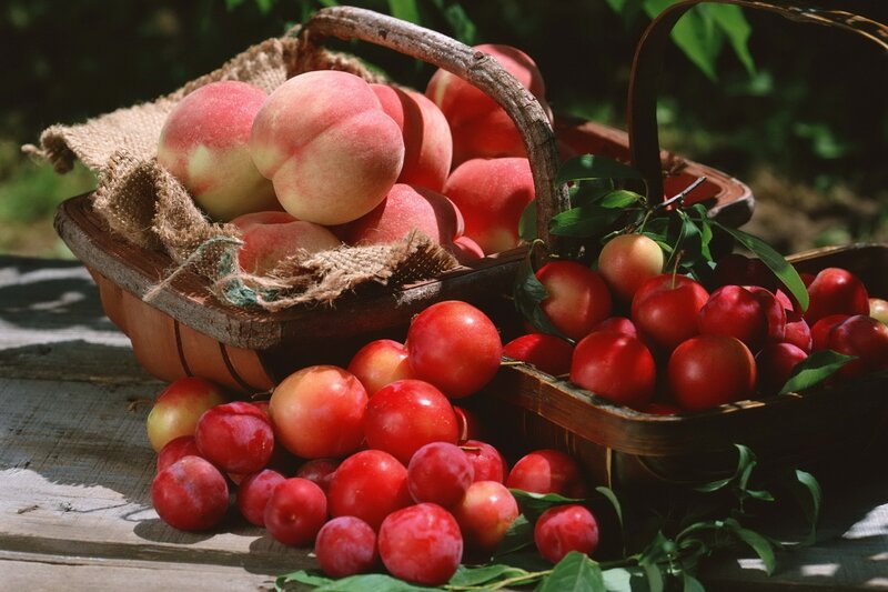 Peaches and Plums in Baskets — Red