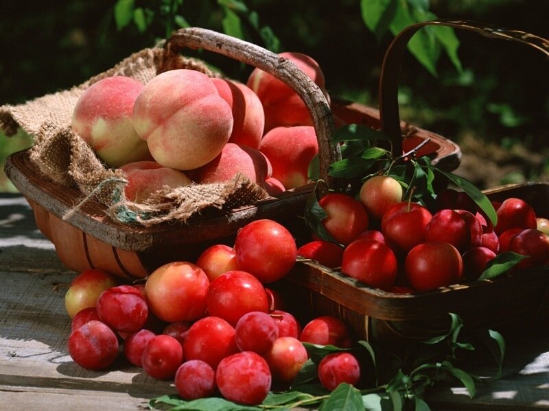 Peaches and Plums in Baskets