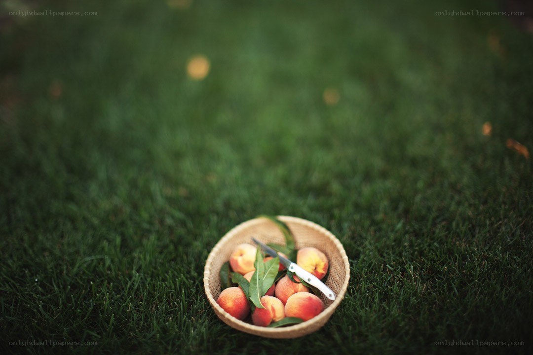 Peaches in a basket on grass