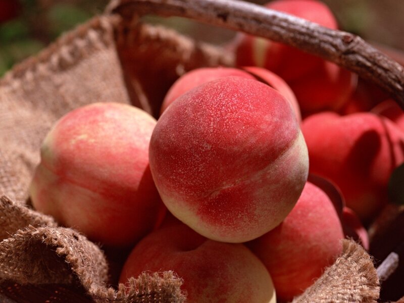 Peaches in a Basket