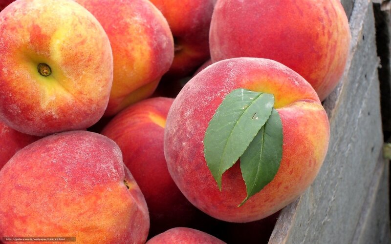 Peaches in a Wooden Crate — Red