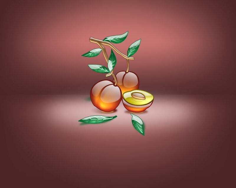 peaches on a branch