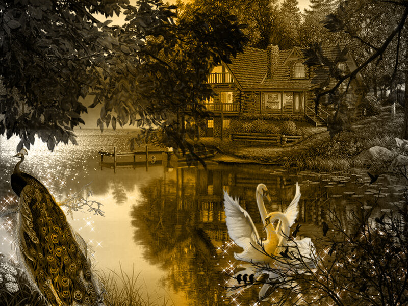 Peacock and Swans by Lake