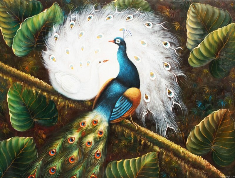 Peacock and White Bird