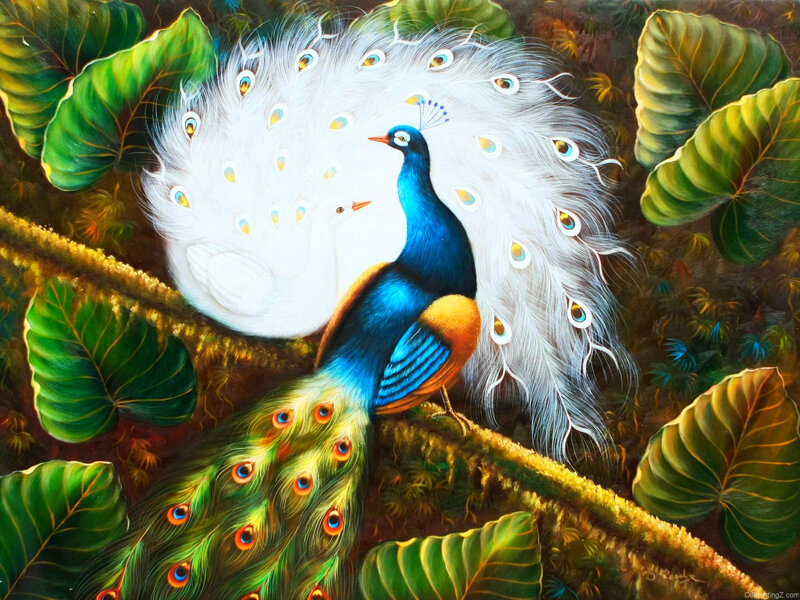 Peacock and White Peafowl — Green